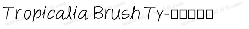 Tropicalia Brush Ty字体转换